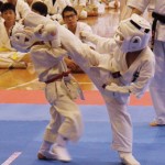 夏季審査20164