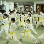 _2016_年_6_月_12_日黄帯審審査会 (100)_R (1)