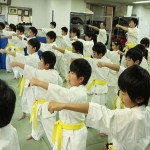 _2016_年_6_月_12_日黄帯審審査会 (9)_R (1)